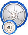 Policaucho